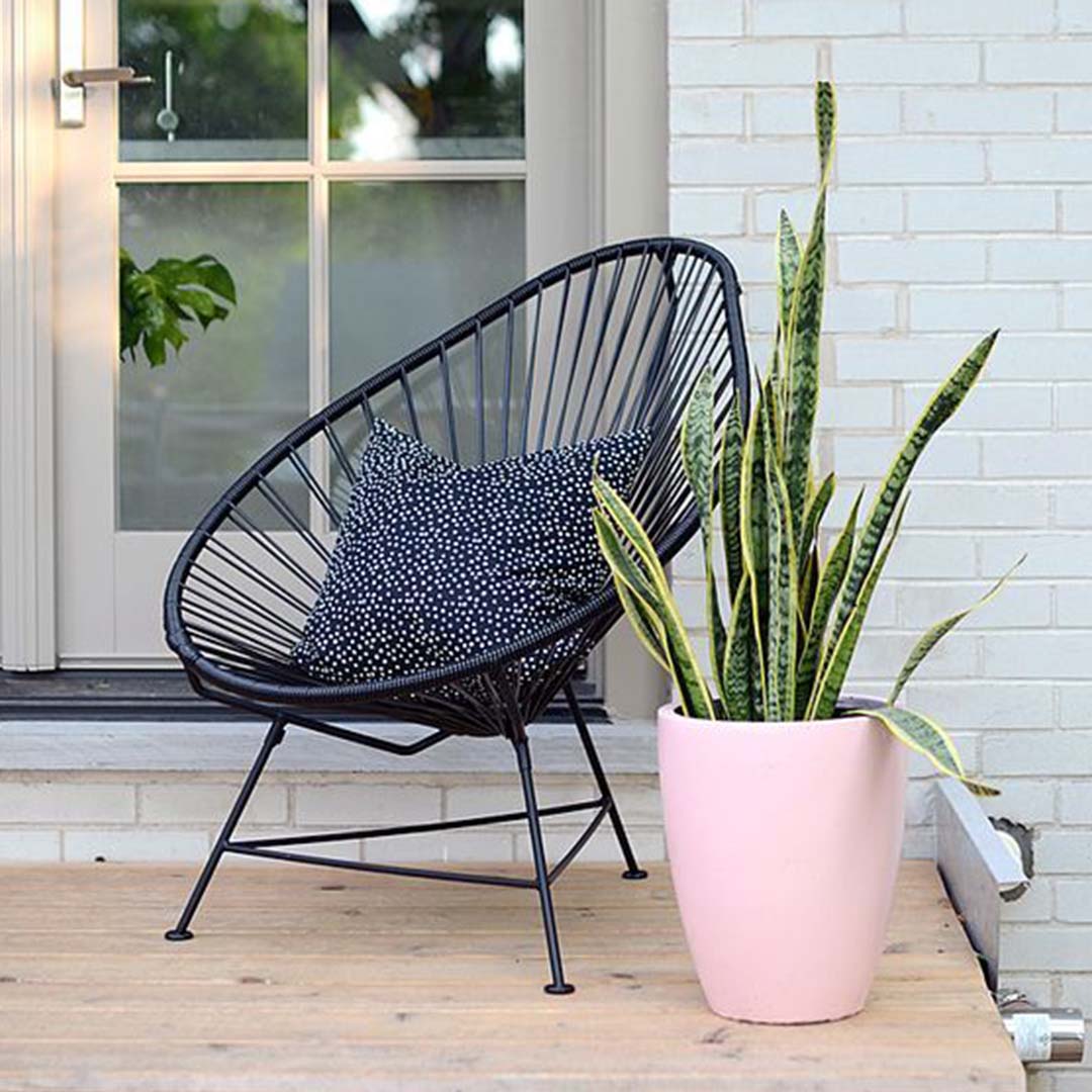 ACAPULCO – Shop Living Gardens