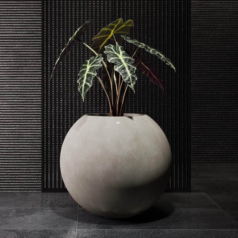 Almeria Fiberglass Globe Planter | Shop Living Gardens