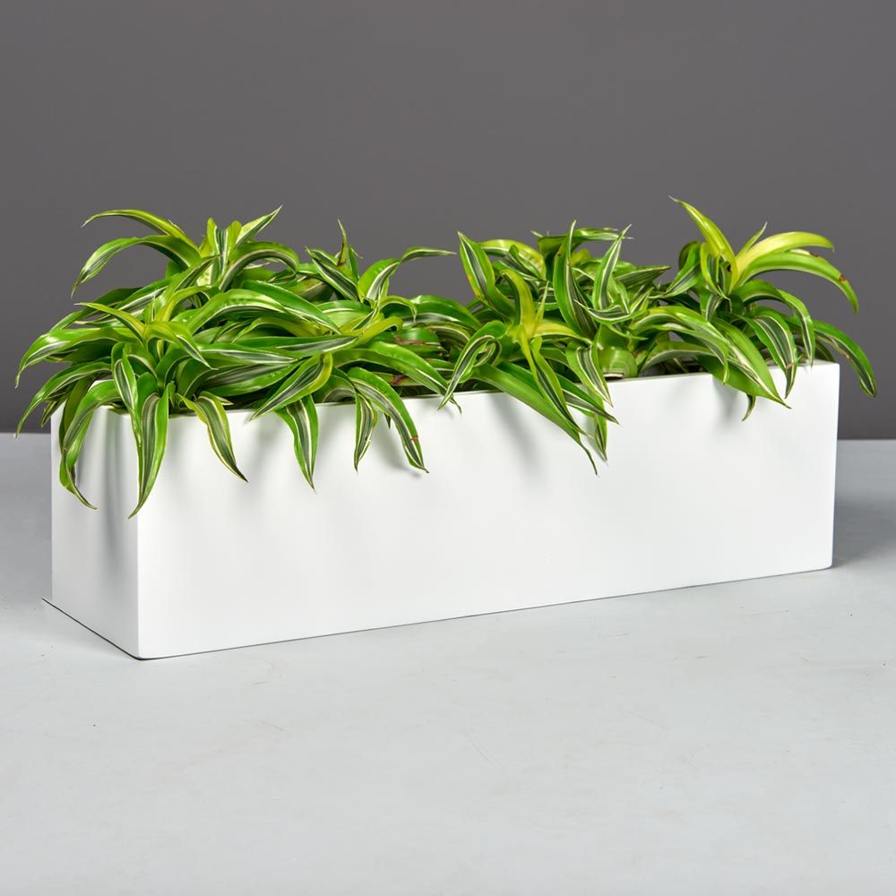 oblong planter indoor Weir Fiberglass Tabletop Indoor/Outdoor Planter
