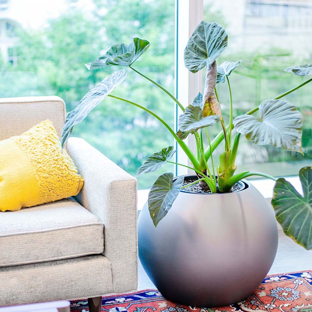 Fiberglass Globe Planter (multiple colors and sizes) Patio and Garden