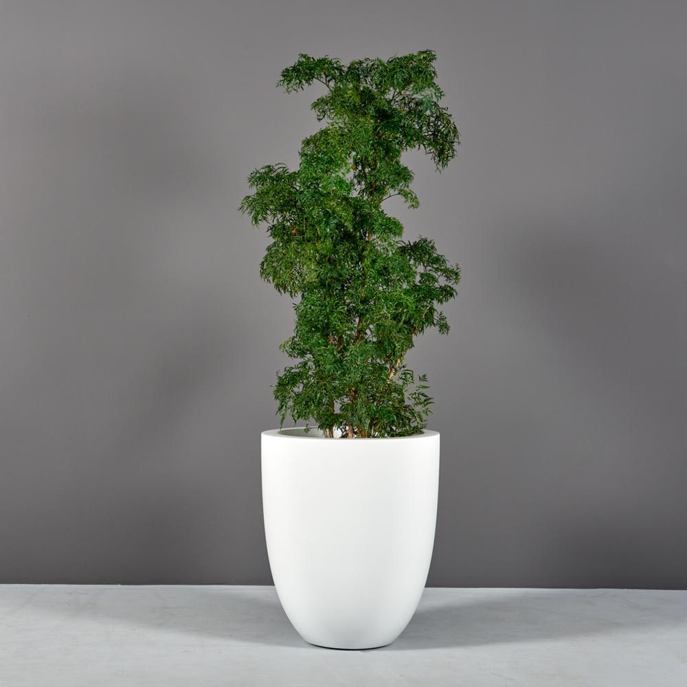 indoor round planter Valencia Fiberglass Round Indoor/Outdoor Planter